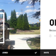 Image for article titled Here's Where To Find Jalopnik On DriveTribe